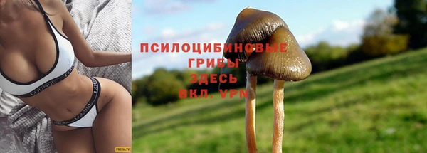 дживик Баксан