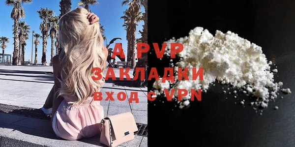 дживик Баксан