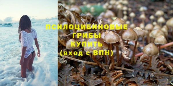 дживик Баксан