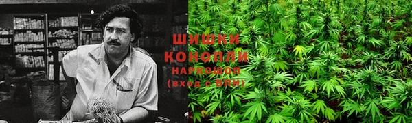 дживик Баксан