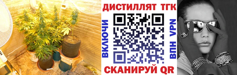 Дистиллят ТГК концентрат Обь