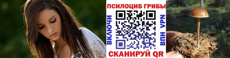 Псилоцибиновые грибы Magic Shrooms  как найти закладки  Обь 